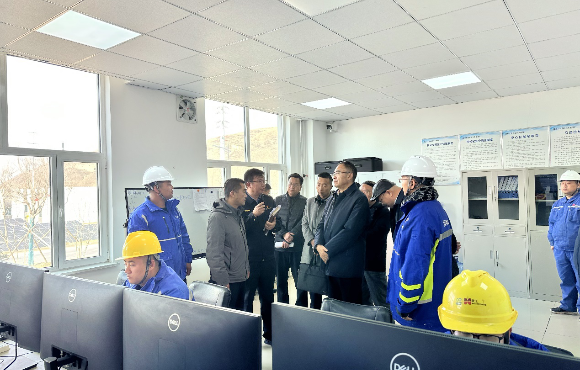 青海省生態環境廳黨組書記、廳長湯宛峰調研麥王項目