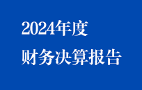 節(jié)能國禎2024年度財務(wù)決算報告(簡版)
